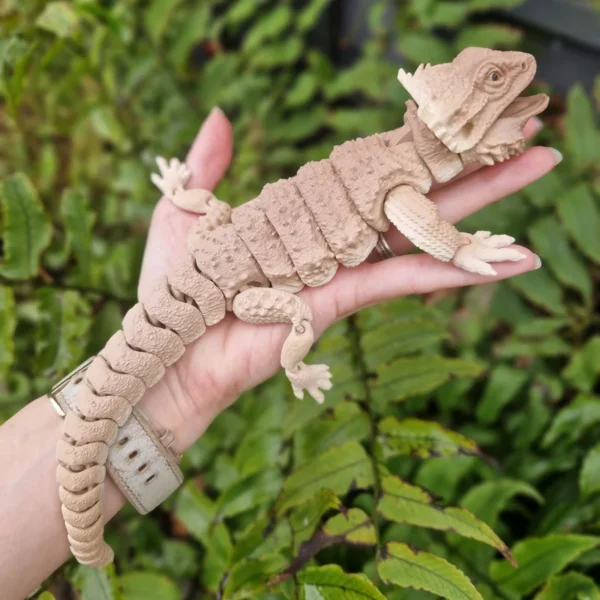 Bearded-dragon-body--TDLP