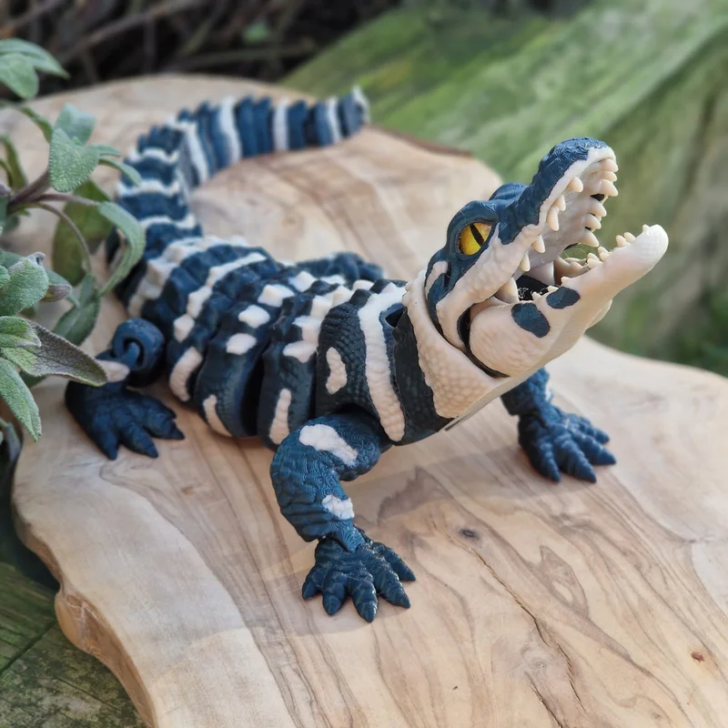 alligator-multi-TDLP
